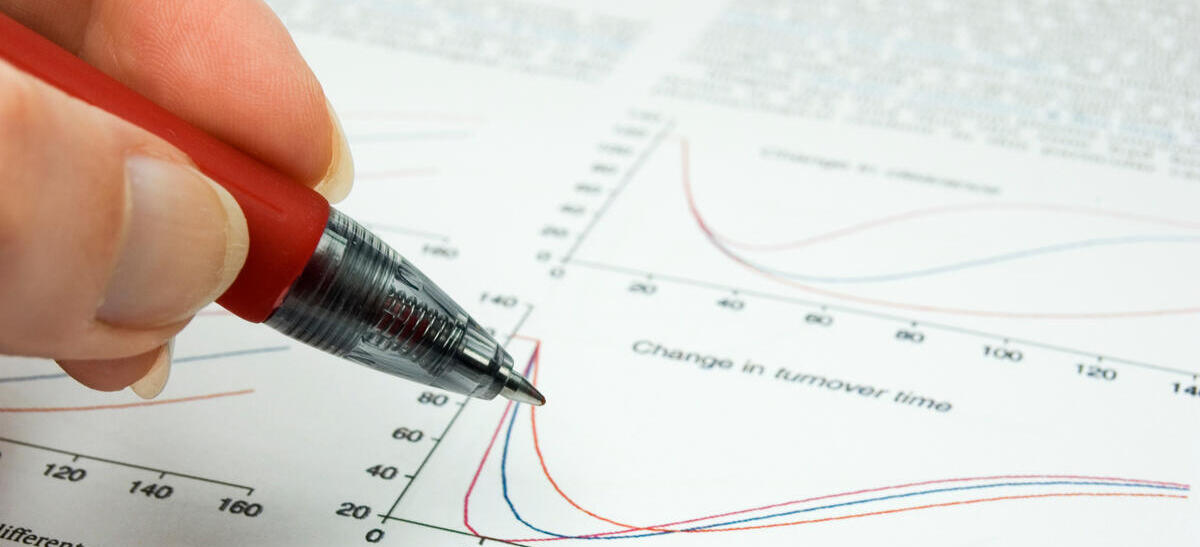 policy brief