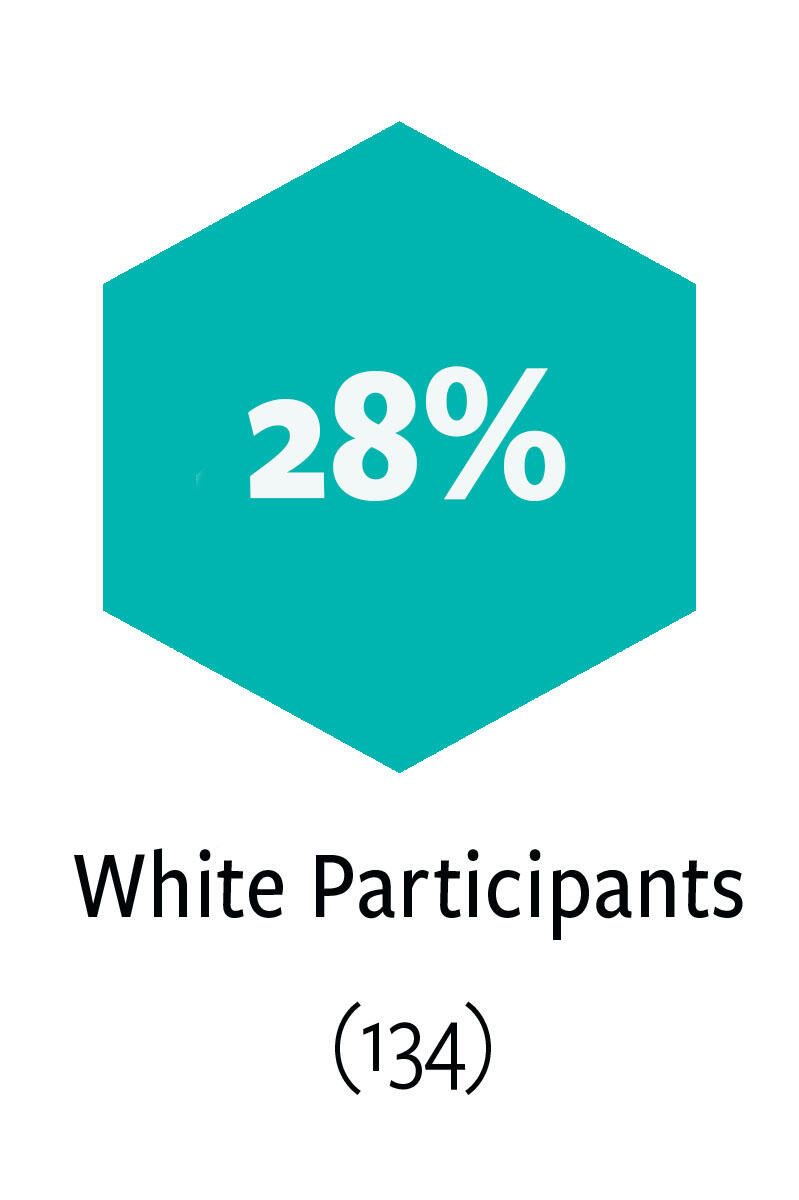 28% White Participants - 134 white participants in Alumni Network